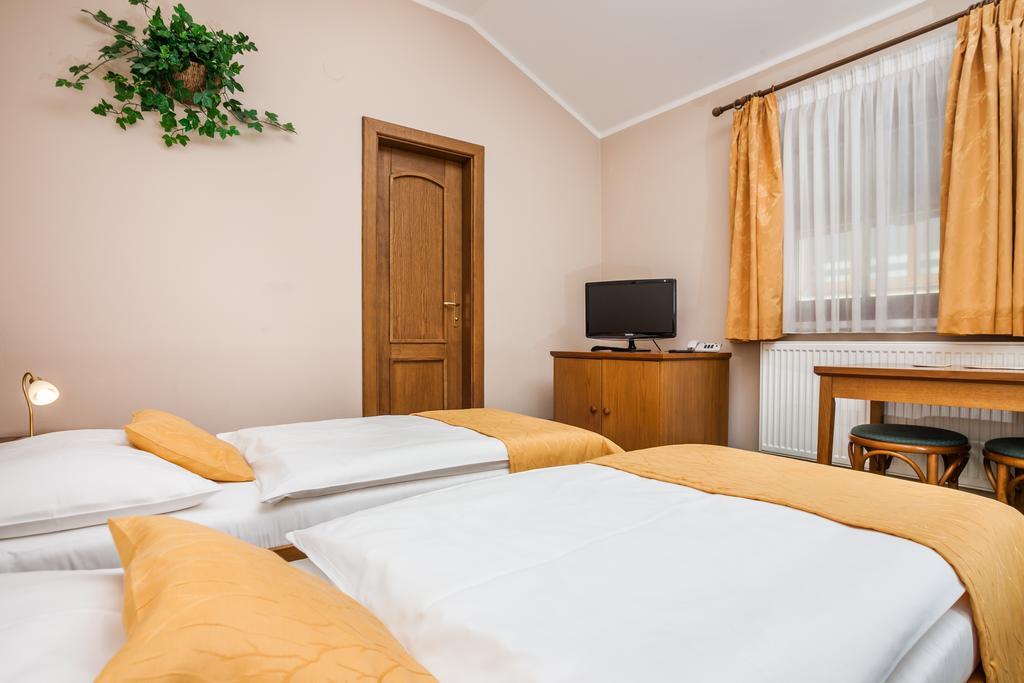 Hotel Jelinkova Vila Velké Meziříčí 객실 사진