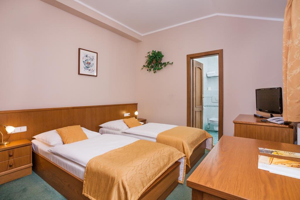 Hotel Jelinkova Vila Velké Meziříčí 객실 사진